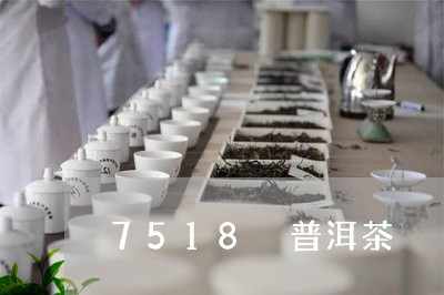 7518 普洱茶/2023031726148